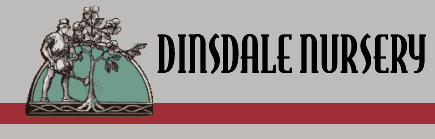 Dinsdale Landscape Contractors